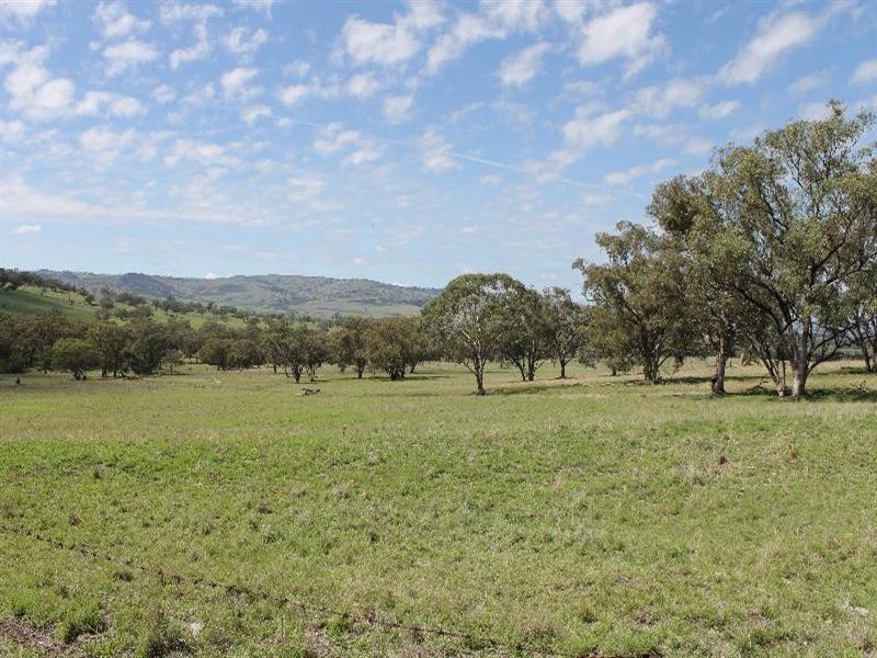 “Winooka” Gundare Road, Coolah NSW 2843