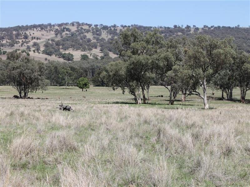 “Winooka” Gundare Road, Coolah NSW 2843