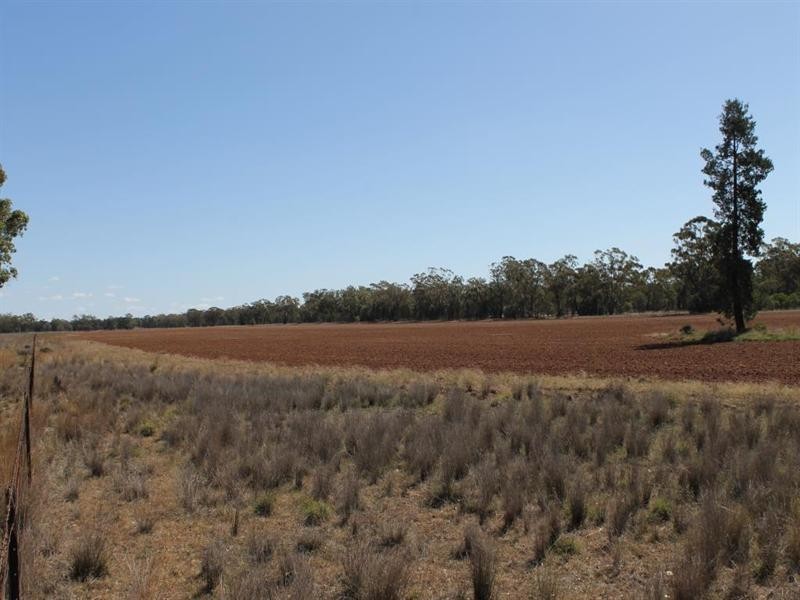 “Croydon” Albert, Tottenham NSW 2873