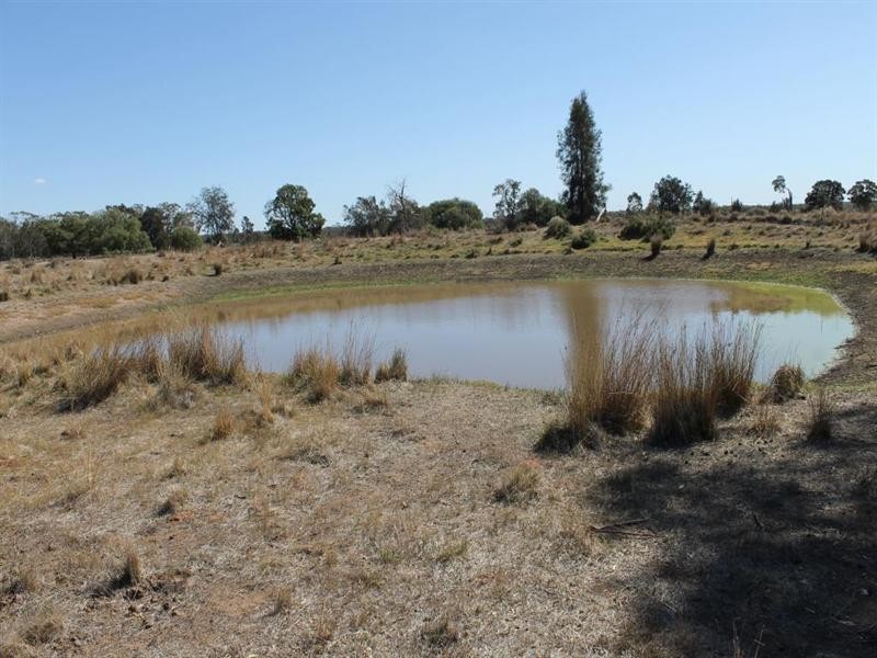 “Croydon” Albert, Tottenham NSW 2873