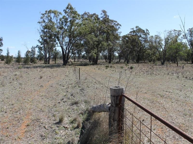 “Croydon” Albert, Tottenham NSW 2873