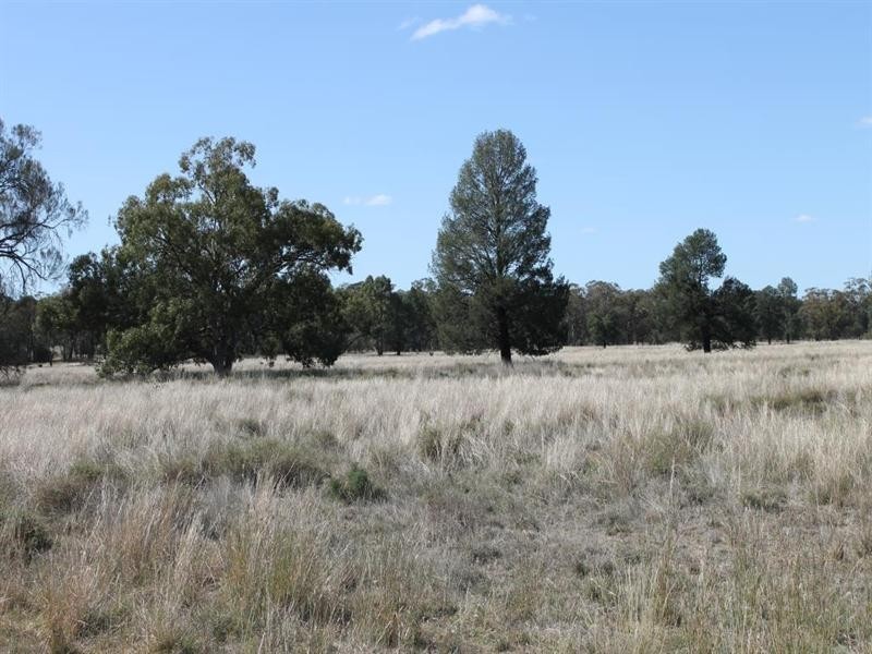 “Croydon” Albert, Tottenham NSW 2873