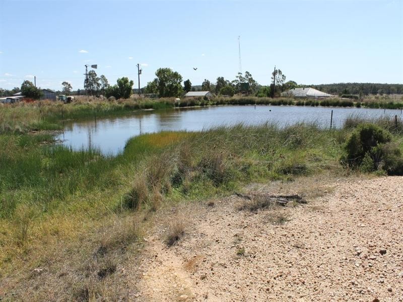 “Croydon” Albert, Tottenham NSW 2873