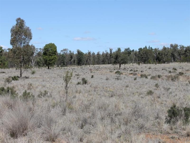 “Croydon” Albert, Tottenham NSW 2873