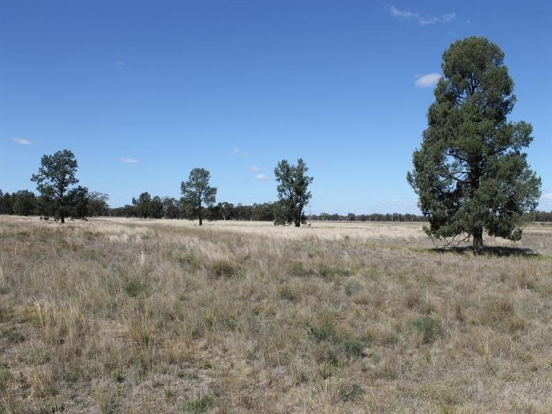 “Croydon” Albert, Tottenham NSW 2873