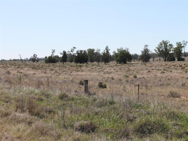 “Croydon” Albert, Tottenham NSW 2873