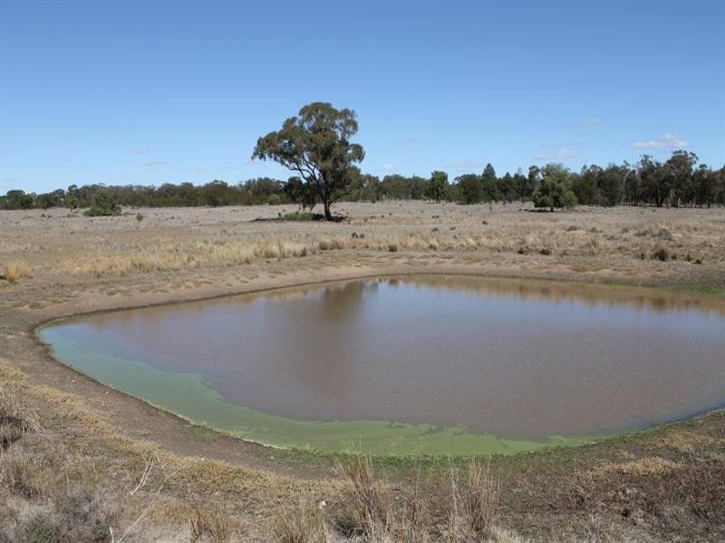 “Croydon” Albert, Tottenham NSW 2873