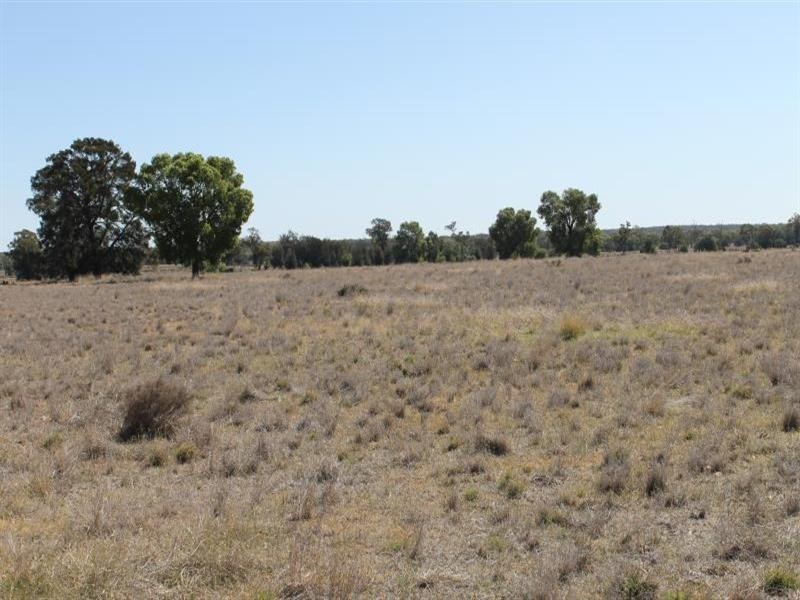 “Croydon” Albert, Tottenham NSW 2873