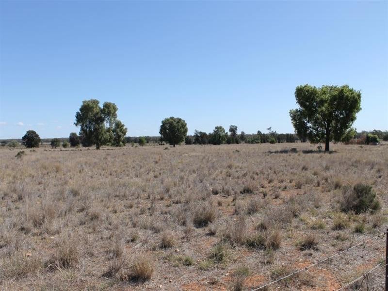 “Croydon” Albert, Tottenham NSW 2873