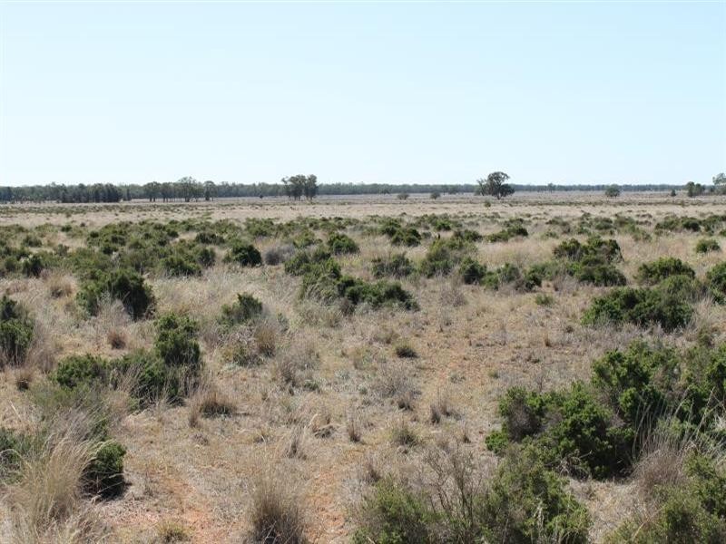 “Croydon” Albert, Tottenham NSW 2873