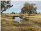 Lagoon Lawson Park Road, Dunedoo NSW 2844