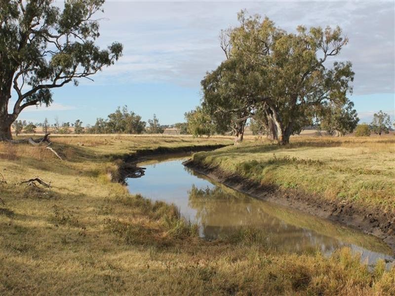 Lagoon Lawson Park Road, Dunedoo NSW 2844
