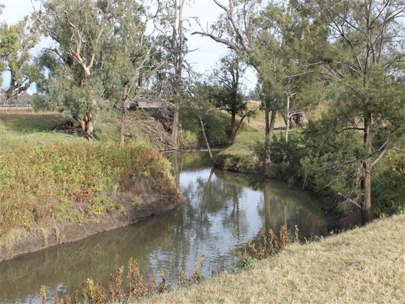 Lagoon Lawson Park Road, Dunedoo NSW 2844