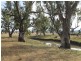 Lagoon Lawson Park Road, Dunedoo NSW 2844