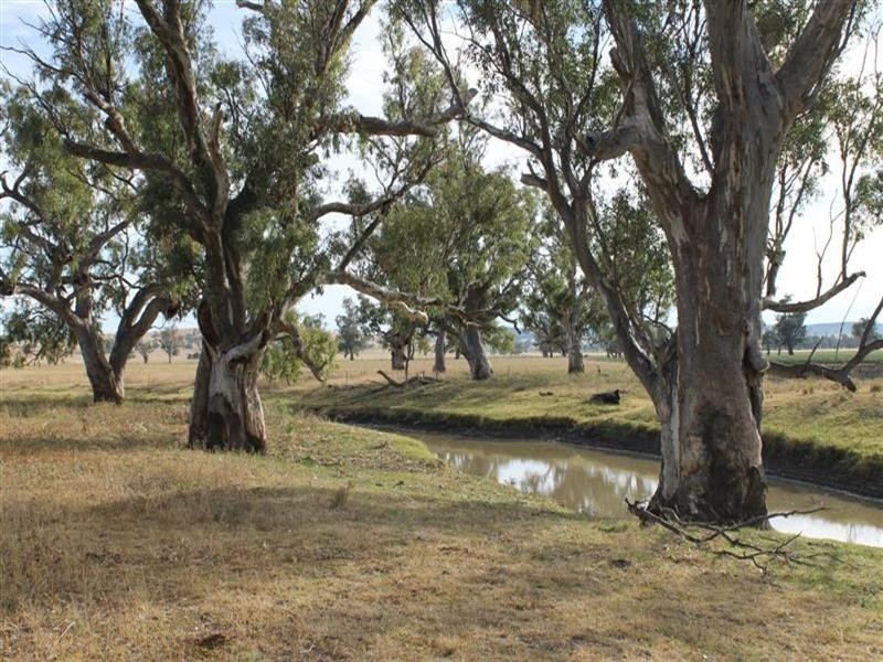 Lagoon Lawson Park Road, Dunedoo NSW 2844