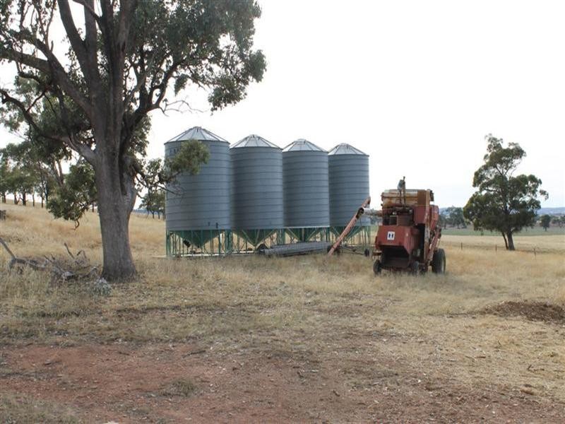 Lagoon Lawson Park Road, Dunedoo NSW 2844