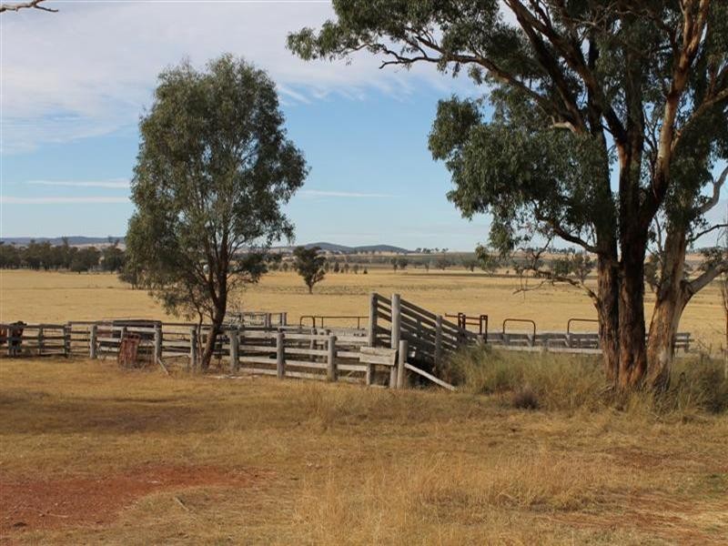 Lagoon Lawson Park Road, Dunedoo NSW 2844