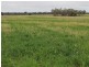 Tottenham NSW 2873