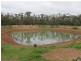 Tottenham NSW 2873