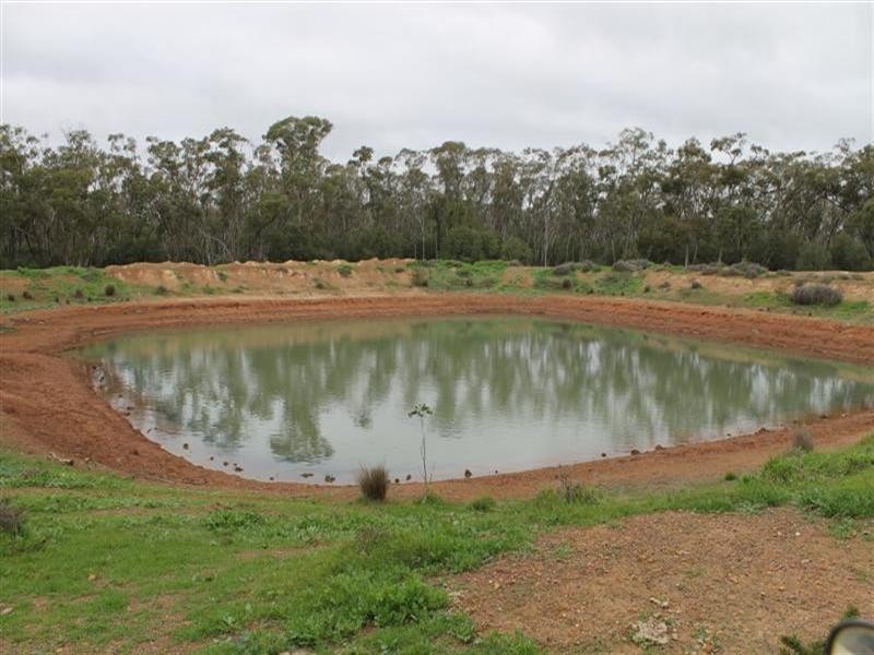 Tottenham NSW 2873