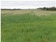 Tottenham NSW 2873
