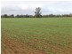 Tottenham NSW 2873