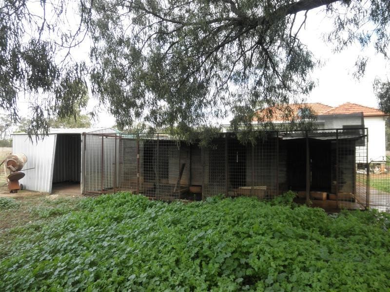 ‘Narwee’ Bobadah Road, Tottenham NSW 2873