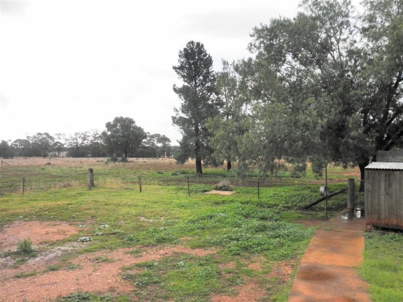 ‘Narwee’ Bobadah Road, Tottenham NSW 2873