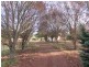 Dunedoo NSW 2844