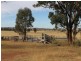 Dunedoo NSW 2844