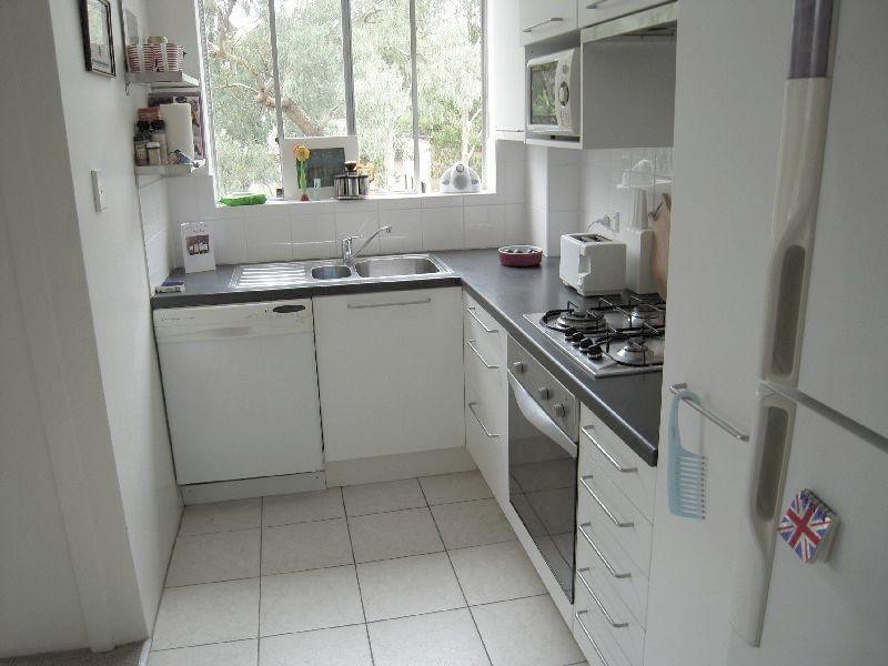 16/10 Leichhardt Street, Glebe NSW 2037