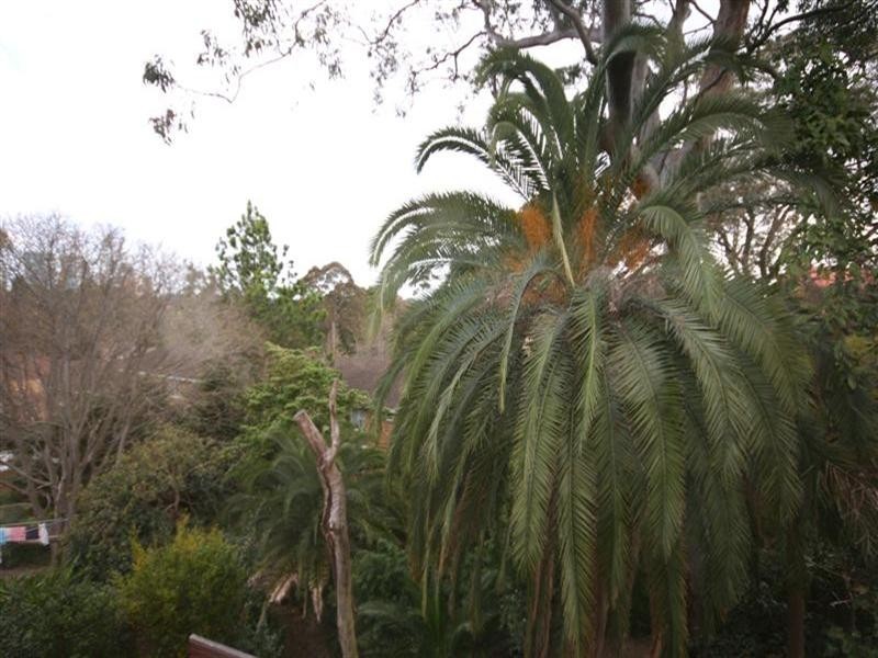 8/154 Pacific Highway, Roseville NSW 2069