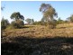 Annangrove NSW 2156