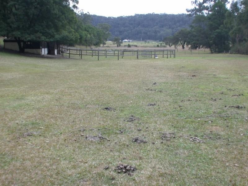 Lower Portland NSW 2756