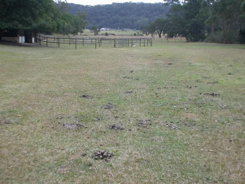 Lower Portland NSW 2756