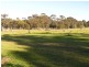 Arcadia NSW 2159
