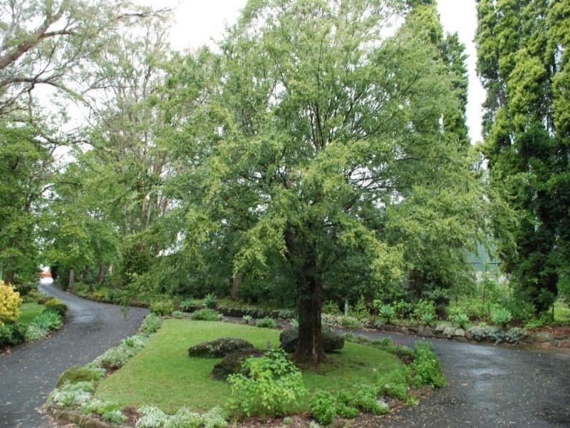 Castle Hill NSW 2154