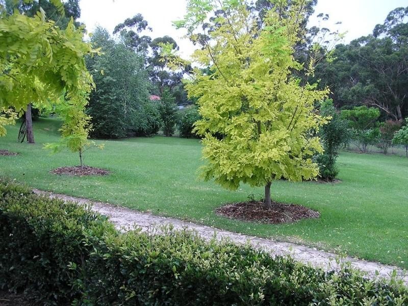 Dural NSW 2158
