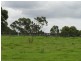 43 Calabash Road, Arcadia NSW 2159