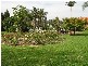 Arcadia NSW 2159