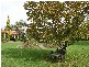 Arcadia NSW 2159