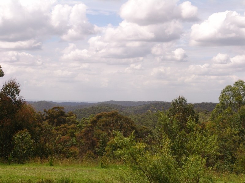 Colo Heights NSW 2756