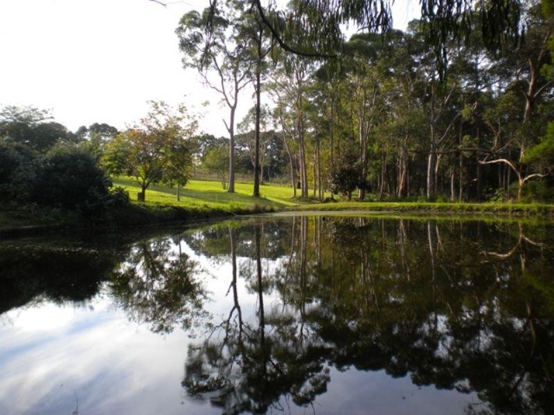 8 Sunnyridge Road, Arcadia NSW 2159