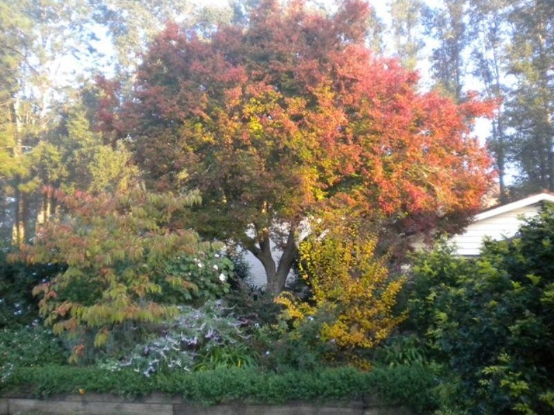 8 Sunnyridge Road, Arcadia NSW 2159