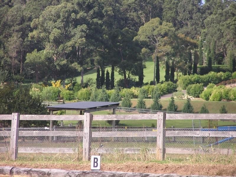 Arcadia NSW 2159