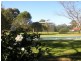 Arcadia NSW 2159
