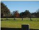 Arcadia NSW 2159