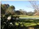 Arcadia NSW 2159