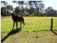 Arcadia NSW 2159
