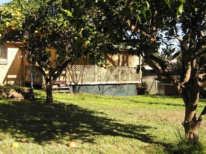 19 The Glade, Galston NSW 2159